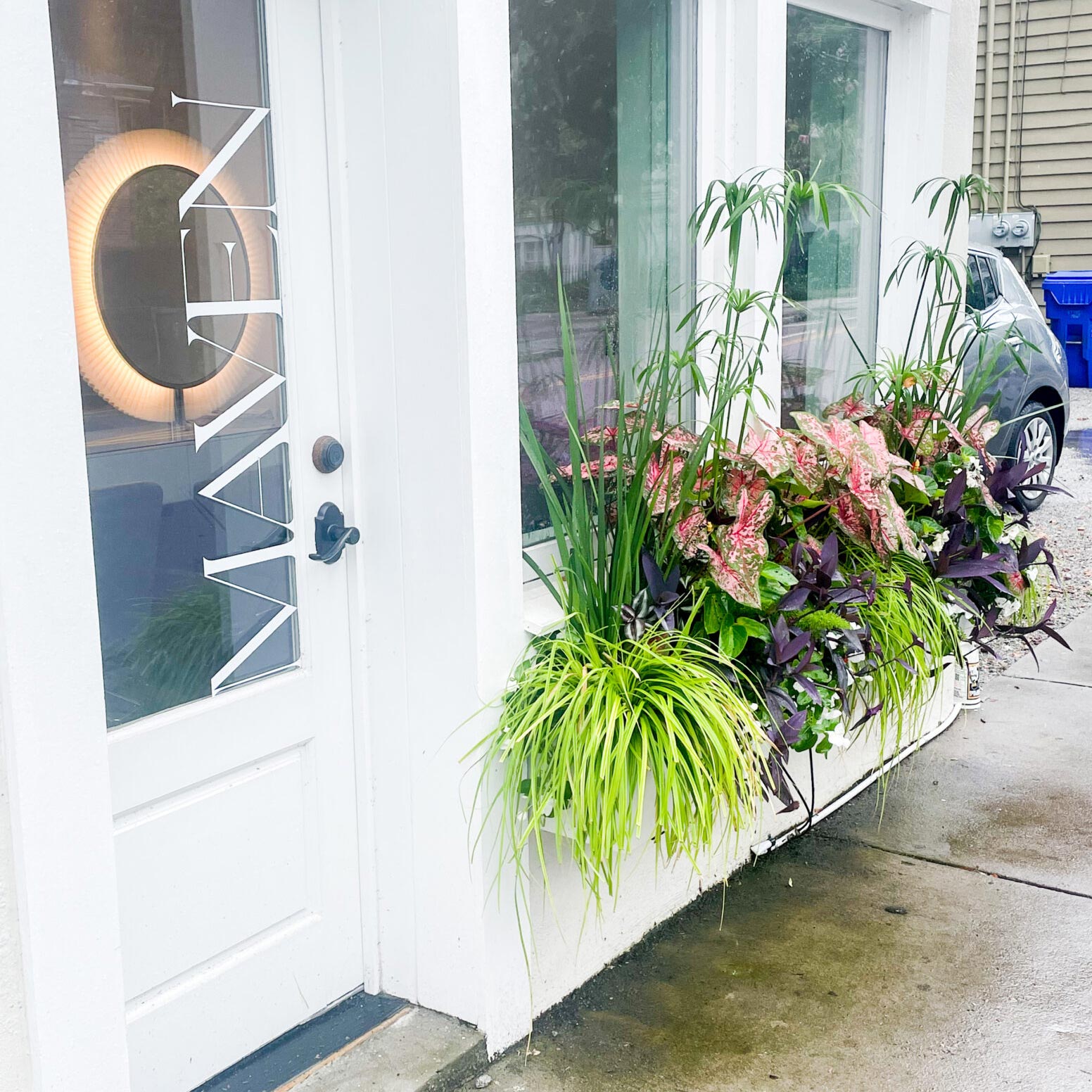 Well-maintained commercial garden featuring seasonal color and trimmed plantings.