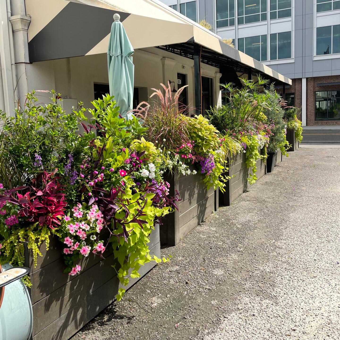 Commercial property landscape reflecting professional fine-gardening and clean exterior presentation.