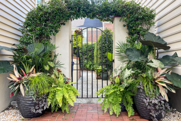 Two black planters, garden and planters